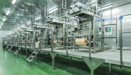 紫燕食品榮膺“最具價(jià)值餐飲品牌Top25” 以技術(shù)創(chuàng)新驅(qū)動食品行業(yè)新篇章